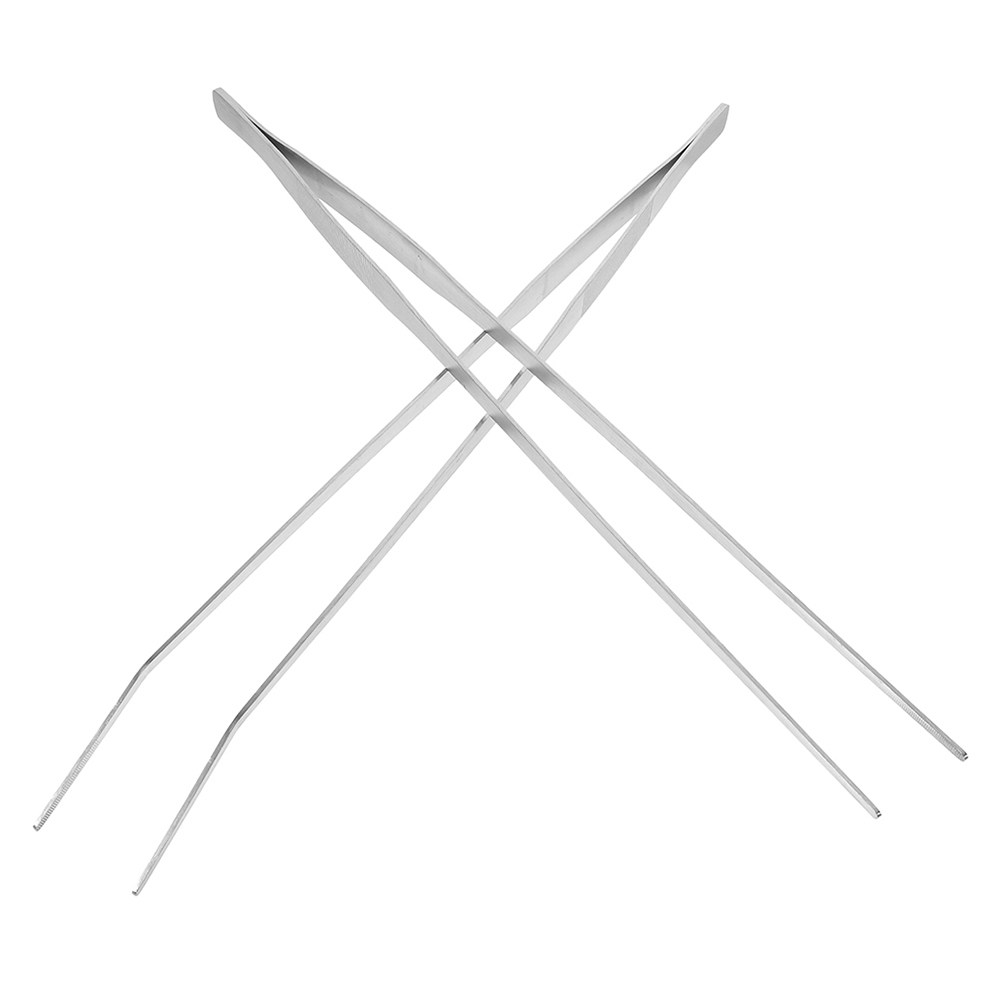 Feeding Tong Stainless - 2개 세트, 스테인리스 스틸 재질의 파충류