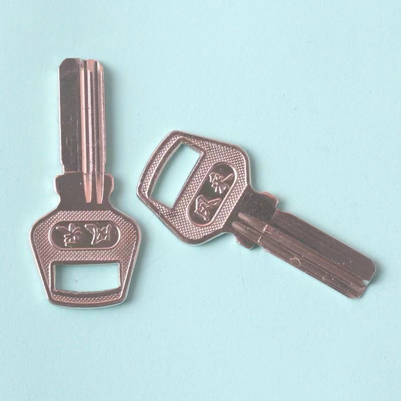 20PC 소형 핸들 스타일 유리문 키 블랭크, 컴퓨터  - Glass Door Hinge 리뷰 및 가격