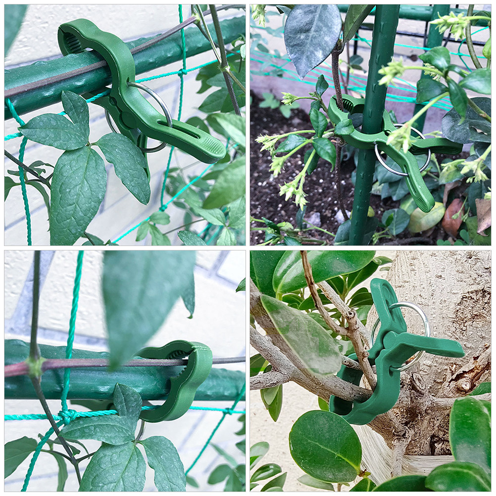60개입 정원용 식물 지지 클립, 토마토, 포도, 수박 - Vine Climbing Plastic 리뷰 및 가격
